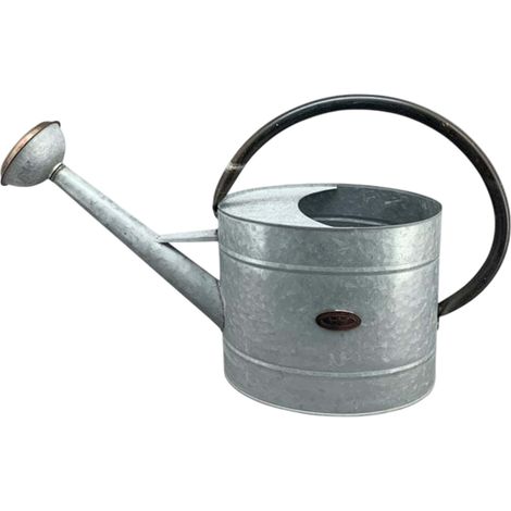 Regadera pequeña de metal, regadera clásica para el hogar, color plata. (1/2)
