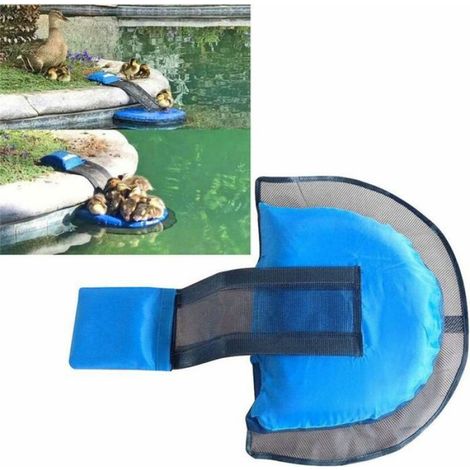 Rampe De Sauvetage - Pour Piscine Gonflable - Adaptée Aux Petits Animaux - 1 Pièce (1/5)