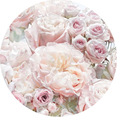 papier peint panoramique rond adhésif roses rose clair - Komar (1/3)