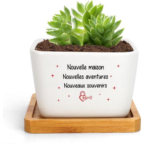Cadeau Cremaillere Maison Femme Pot De Fleur Cadeau De Cremaillere Idée Cadeaux pour Les Nouveaux Propriétaires Cadeaux Cremaillere pour Les Amis Famille Et Les Clients (1/5)