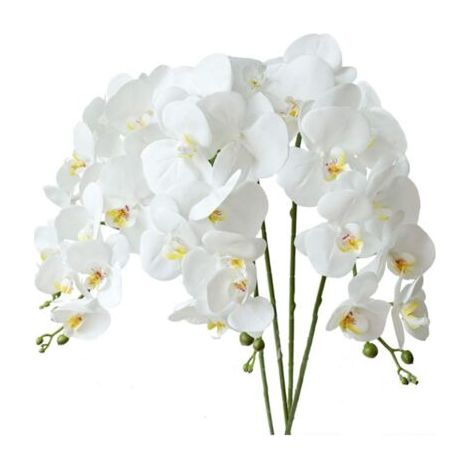 PA Stück künstliche Phalaenopsis-Blumen, Blätter, künstliche Orchideenblüten, Pflanzenstiele für Heimdekoration (weiß) (1/4)
