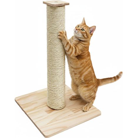 62 cm Árbol Rascador para Gatos y Gatitos - Poste Cuerda Sisal con Base Bambú