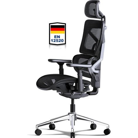Bürostuhl ergonomisch 200kg 4D Reliefback Pro3 (Schwarz) Netzsitz (1/5)