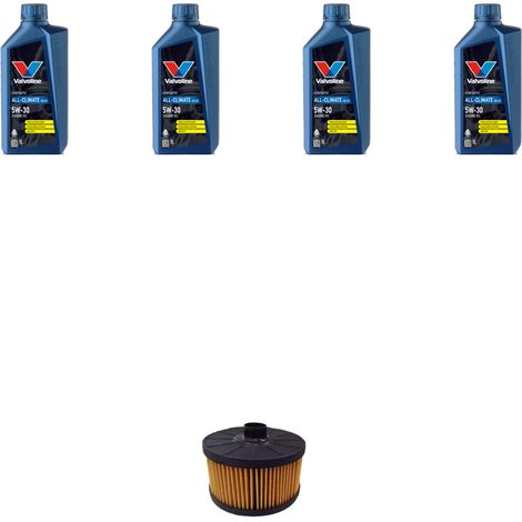 Kit filtro olio e 4L compatibile con Nissan Micra V (K14F) 0.9 LPG 64KW Dal 2019 (1/3)