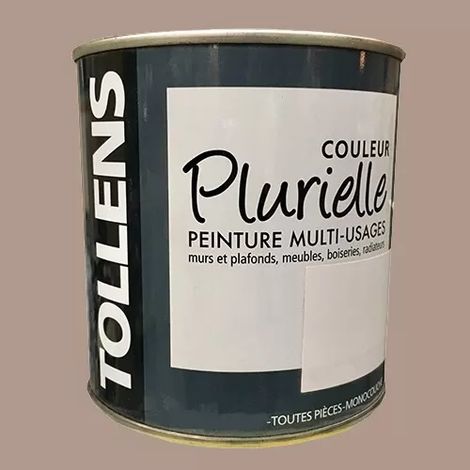 TOLLENS Peinture acrylique multi-usages 'Couleur Plurielle' mat Epicée 0,5 L (1/2)