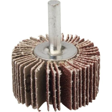Meule abrasive de 40 mm, grain 80 (1/3)