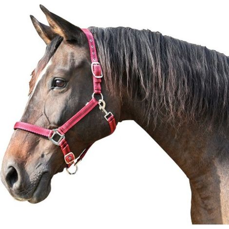 Kerbl Cabazada Horse Mustang, Nylon, doppelte Einstellung, Rot, Gr¤e 1