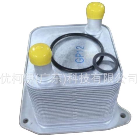 Refroidisseur d'huile 23750331, compatible avec Baojun 530 2018-2024 (1/4)