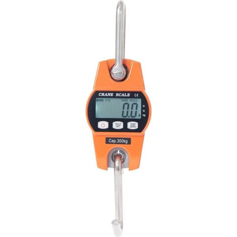 Peson Electronique 300kg Balance Crochet Suspendu Dynamomètre LCD Crochet Peseur Industrielle Pèse Poids 300kg/600lbs (1/5)