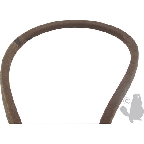 Correa AYP 138255