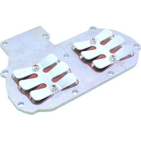 S-giant Vanne d'admission et valve à palette pour moteur hors-bord Yamaha 2 temps 30 chevaux - Compatible avec 689-13610-01. (1/5)