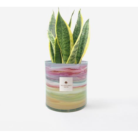 Sansevieria vaso vetro decorato a mano Made in Italy Tramonto H 15 - Multicolore 3