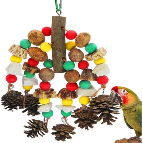 Jouets pour perroquets, noix riches en nutriments, jouet à mordre en bois naturel pour cage de perroquet, cacatoès contenant des os de seiche, pommes de pin, mangues en bois et carambole pour (1/5)