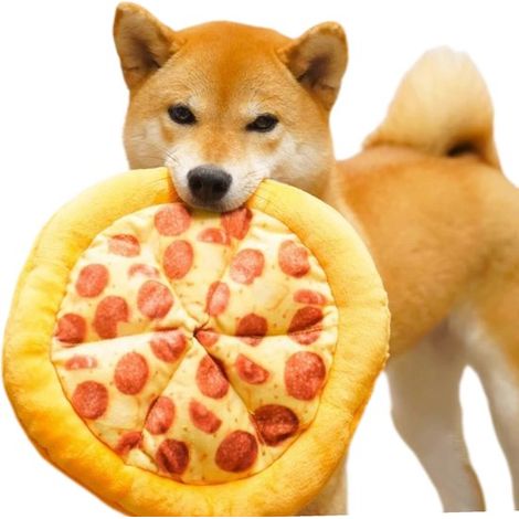 25 x 25 x 4 cm Pizza-Spielzeug für Hunde Zum Kauen und Spielen Lustige und interaktive Geräusche Ideal für das Zahnungstraining von Haustieren (1/5)