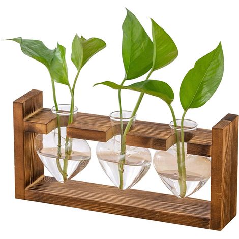 Pflanzstation aus Glas – Kleine Vintage-Vase mit Holzrahmen, Tischdekoration und Hydrokultur-Terrarium, kleine Blumenvase für Wohnzimmer, Büro oder Fensterbank (1/5)