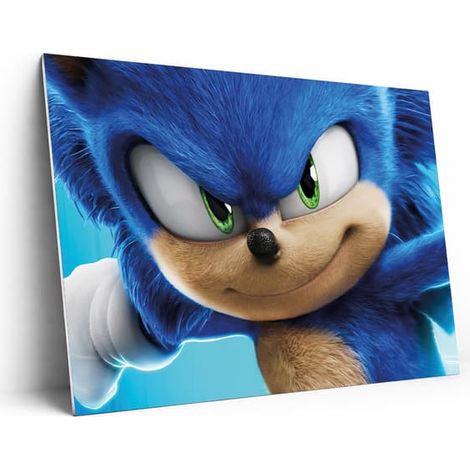 Tableau/Peinture - Sonic - 59 x 42 cm - A2 - Décoration murale (1/2)