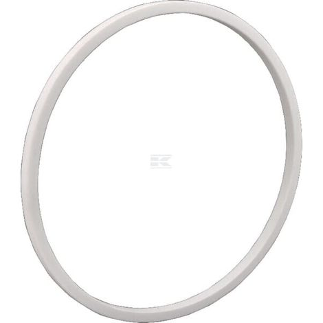 Anello di ritegno pressione 6" MZ 6020591