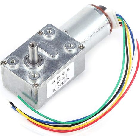 DC 12V 10/20/30/40/100 RPM High Torque Worm Gear Motor, Turbo Worm Gear Motor with Self-Locking Precious Carbon Brush Encoder(30 RPM) (1/5)