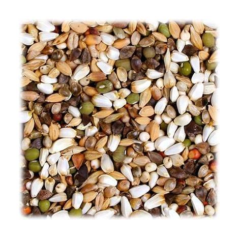 JR FARM Big Parrots - Germogli per pappagalli di grandi dimensioni 1 kg (1/3)