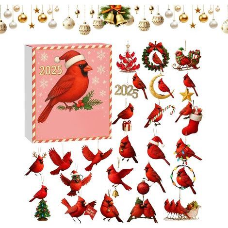 Weihnachtskalender 2025, 2D-Acryl, 24 Tage bis 2025, Countdown für die Weihnachtsbaumdekoration, für Kinder, die Vögel lieben, für Zuhause, Wand, Fenster, Ast, Auto, Büro (1/5)