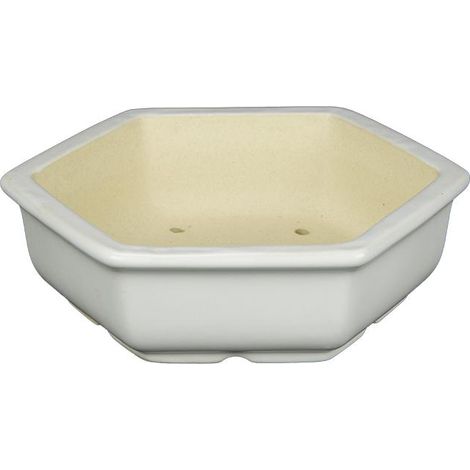 Vaso per bonsai esagonale in gres smaltato bianco 12x12x3,5 cm - A18