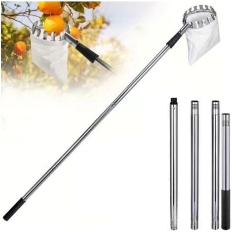 QORVA-Cueille-fruits télescopique de 1,6 m avec perche - Outil pour la cueillette des cerises, des pommes, des agrumes, des poires et des pêches.