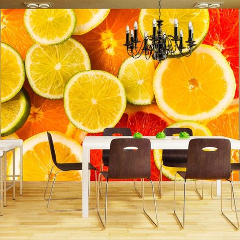 Papier peint les agrumes - 300 x 230 cm (1/4)