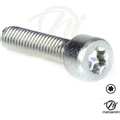 Vis Torx 27 M6 x 25 pour tronçonneuse Stihl 020T 020 MS200 200T (1/4)