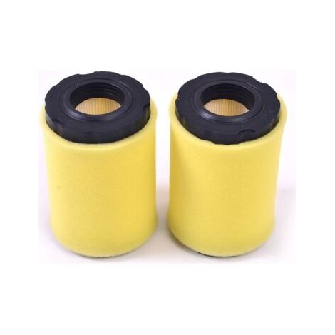 2 pièces 591334 Filtre à air, DE remplacer pour Briggs Stratton 796031 549201 797404 Air Cartouche de Nettoyage, Tondeuse à Gazon Filtre à air (1/5)