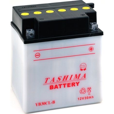 Batterie plomb TASHIMA renforcée 12V, 30A. L: 168, l: 132, H: 192,2mm, + à droite pour jet-ski. (livrée avec acide séparé). - Ba