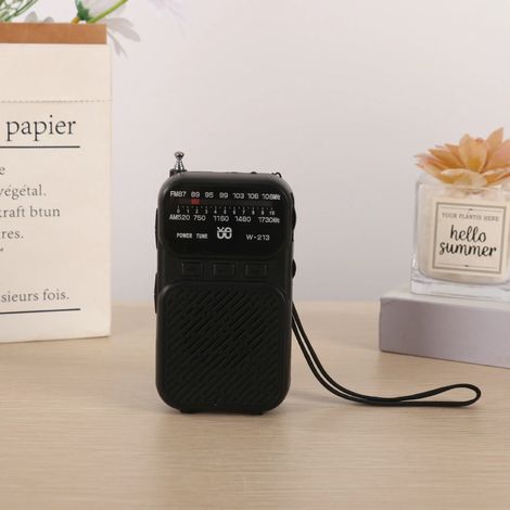 Mini radio analogique FM/AM (noire) - Lampe torche - Signal stable - DSP - Rechargeable - Enceinte Bluetooth (1/5)