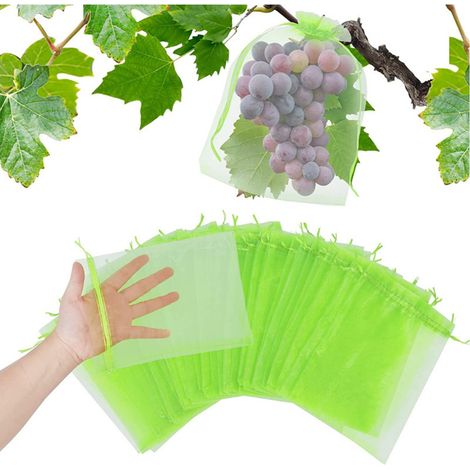 Bolsas protectoras para uvas (30 x 40 cm), color verde, con cordón, de organza, de malla transparente, para evitar avispas, drosófilas, insectos y pájaros. (1/4)