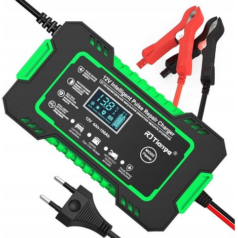 RJ Tianye RJ-C 120501A 12V 6A Battery Charger