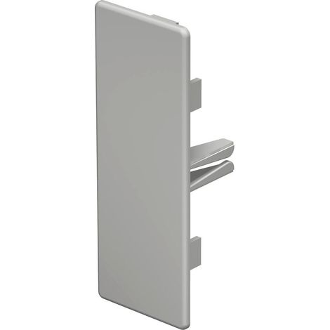 OBO Bettermann Terminale 40x110mm polivinilcloruro bianco puro RAL 9010, 6193242