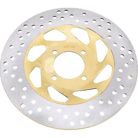 Stainless Steel Motorcycle Front Brake Disc Rotor, 244mm, Replacement for RX King 135, High Performance Braking System, Upgrade (1/5)