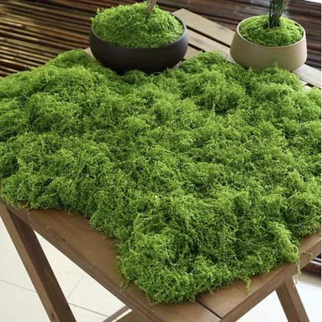 mousse artificielle artisanale décoration d'art fausse décorative foncé 200g Vert (1/5)