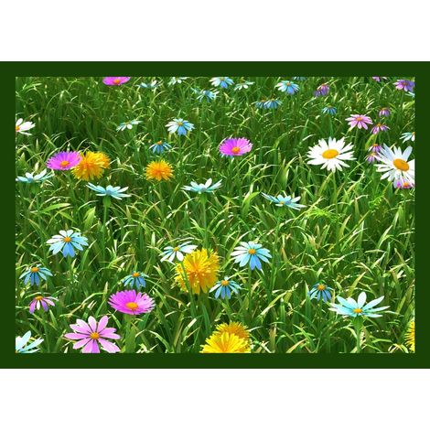 TAPIS CREATION GRASSFIEL GREEN50X80 CREATION VICA 100030-099