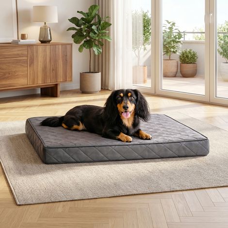 belviona Hundematratze orthopädisch, Memory-Foam Hundematte mit abnehmbarem Bezug, pflegeleicht & rutschfest, 80x55 cm, grau (1/5)