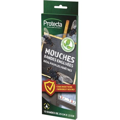 PROTECTA - Mouches bandes engluées x 10