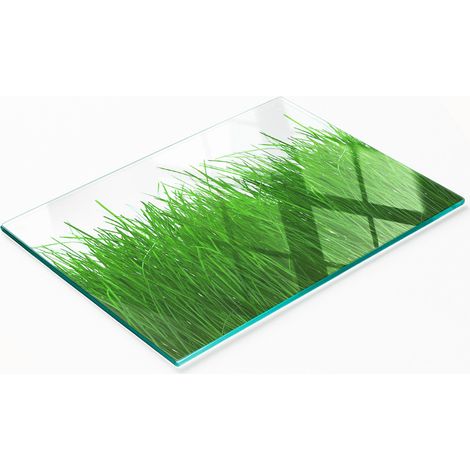 Planche décorative en verre avec motif d'herbe pour présenter des amuse-gueules 80x52 cm (1/5)