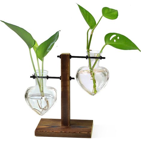 Support en Bois pour Terrarium en Forme d'ampoule en Verre Support pivotant rétro Table hydroponique Décoration de Maison, Jardin, Bureau – Vase à 2 Ampoules Gauche et Droite (1/5)