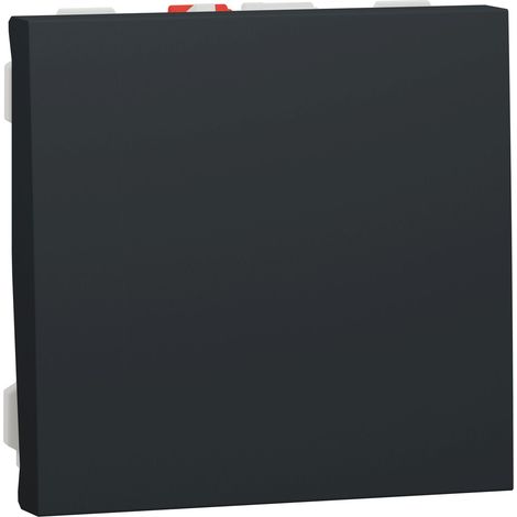 Bouton poussoir 2 modules SCHNEIDER NU320654 anthracite