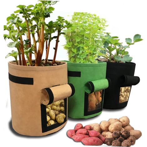 Lot de 3 sacs de plantation pour patates douces, en tissu non tissé résistant, couleur noire. (1/5)