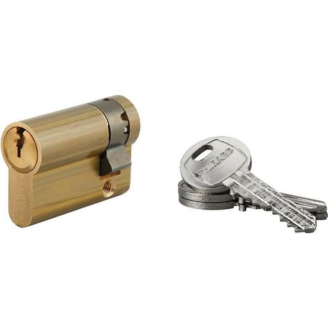 Demi cylindre type HG6 ouverture La Poste 3 clés 35 X 10 mm en laiton poli - FTH THIRARD