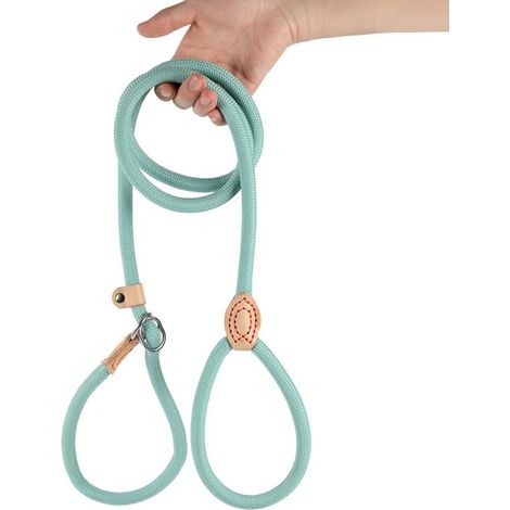 Laisse P intégrée anti-traction pour chiens, en corde renforcée, pour petites, moyennes et grandes races (1/5)