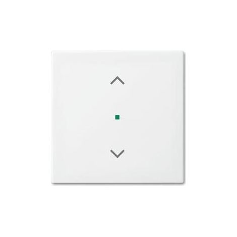 Busch-Jaeger Wippe aws Busch-balance SI 6232-10-914 (1/5)