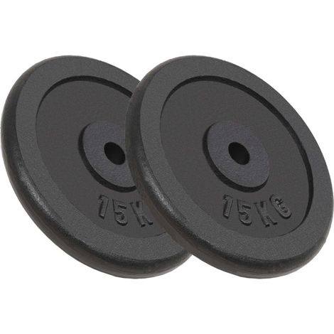 Disco pesi 2 pezzi 2 manubri in ghisa da 15 kg per fitness e allenamento con i pesi 020000759