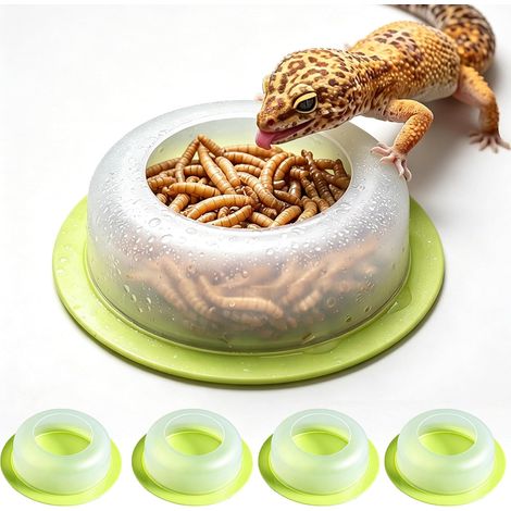 Lot de 4 gamelles anti-évasion reptile et gecko, vert, 6,9 cm (1/5)