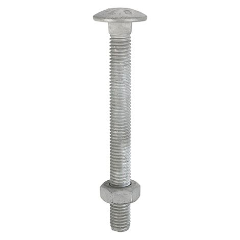 TIMCO Carriage Bolts DIN603 & Hex Full Nuts DIN934 Hot Dipped Galvanised - M10 x 150