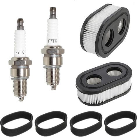 Rasenmäher-Luftfilter für Briggs & Stratton 593260 5432 5432K 550E 550EX 798452 mit 2 Zündkerzen (1/5)